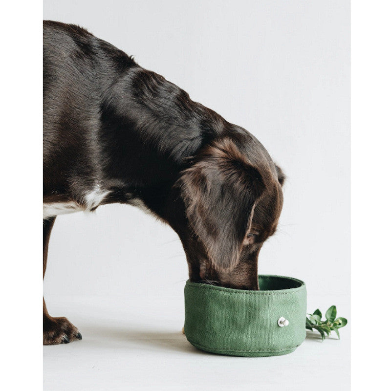 Premium Adventure Foldable Bowl – The Versatile Sidekick Every Dog Deserves