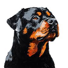 How My 9-Year-Old Rottweiler Reese Inspired the Birth of WagsGo